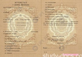 Аттестат 8 классов Аттестат 8 классов в Элисте